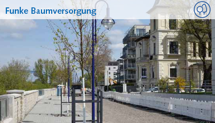Referenz - Magdeburg | Oktober 2017 Referenz - Magdeburg | Oktober 2017