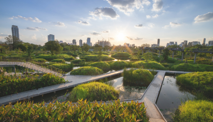 Funke-Lösungen für ein klimaresilientes urbanes Grün